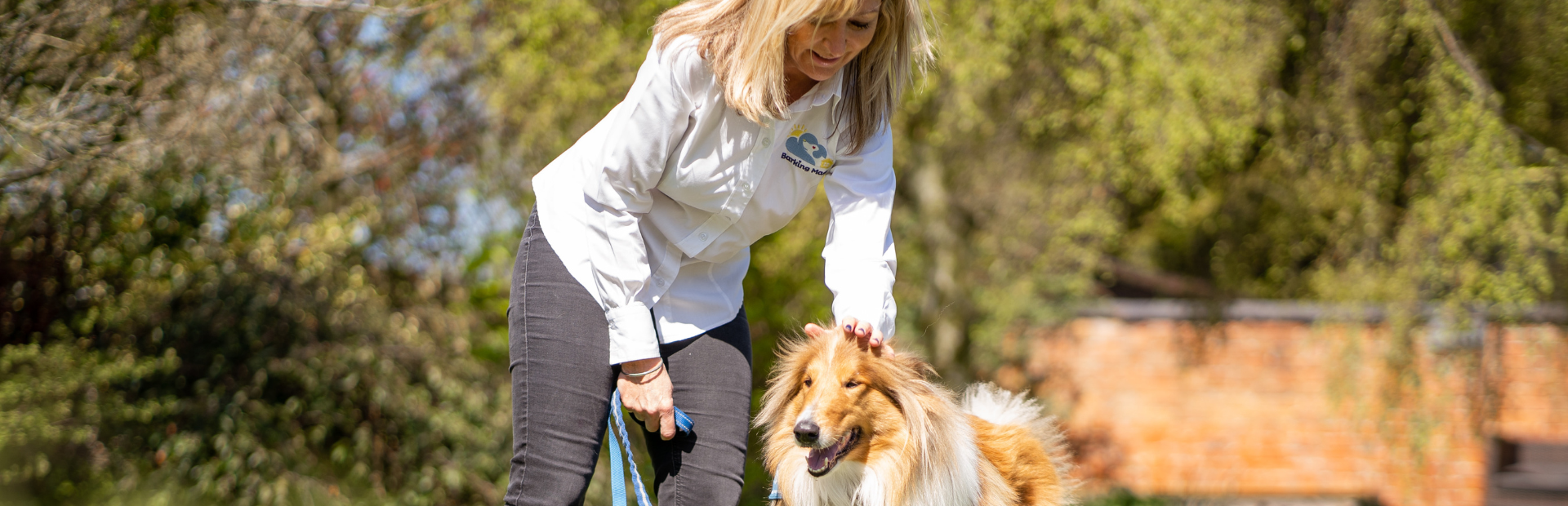 Barking Mad banner image